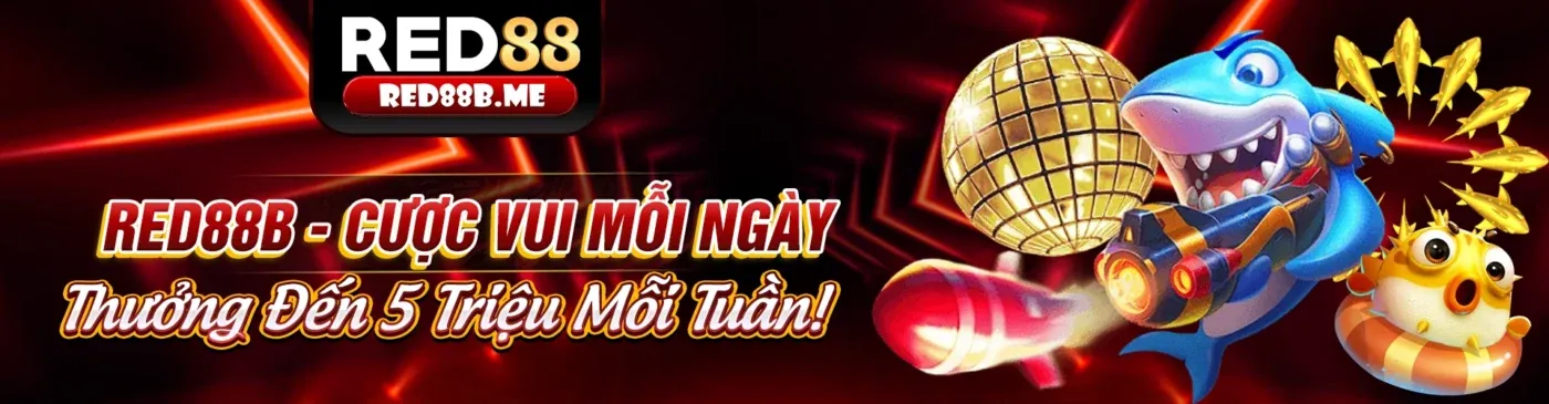 Hướng dẫn chiến lược cá cược trực tuyến cho người mới tại pbv88